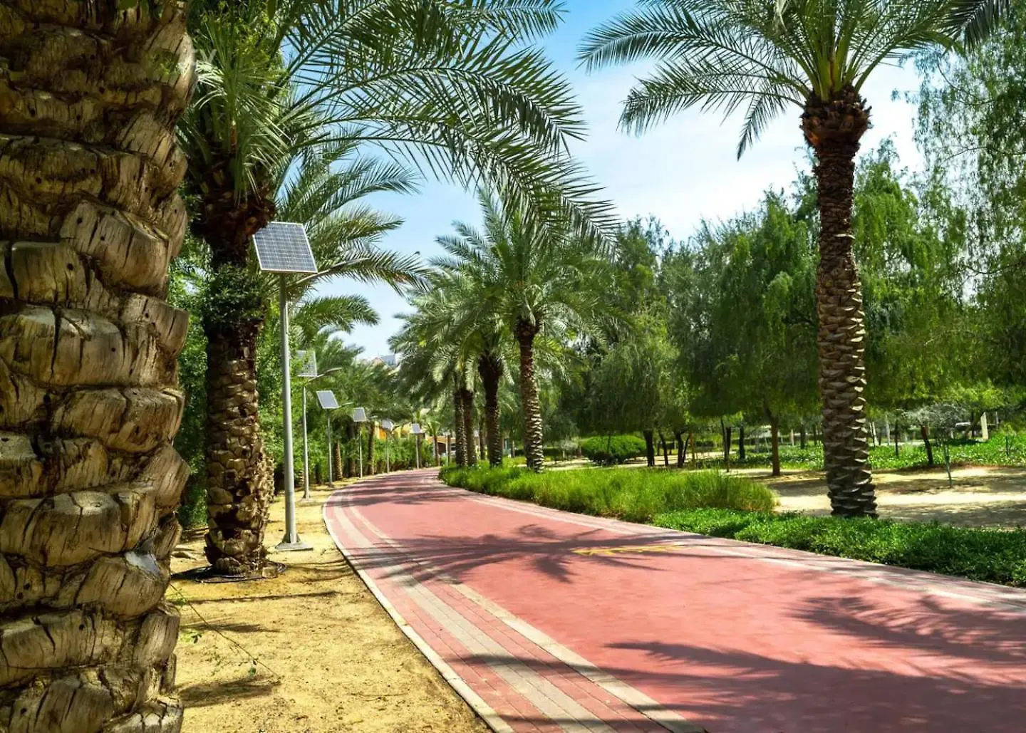 Cozy Studio In Jvc دبي